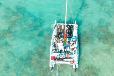 Dolphin Watching Boat Trip from Agadir
