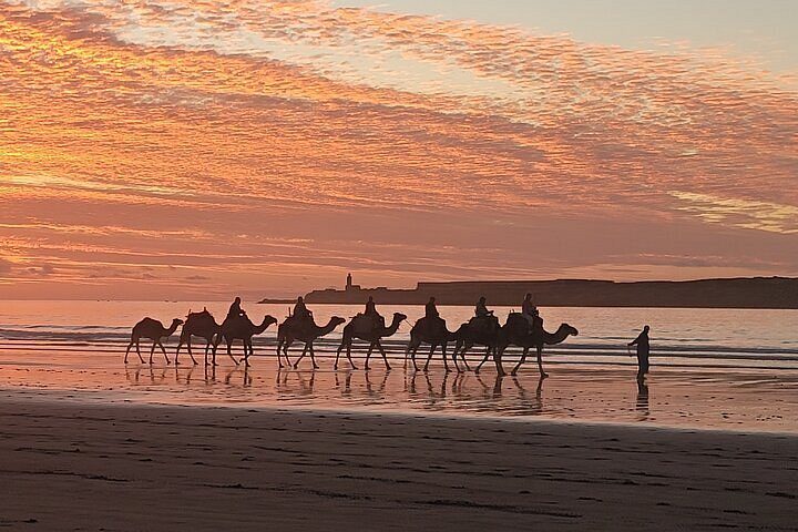Sunset Camel Ride in Taghazout from Agadir